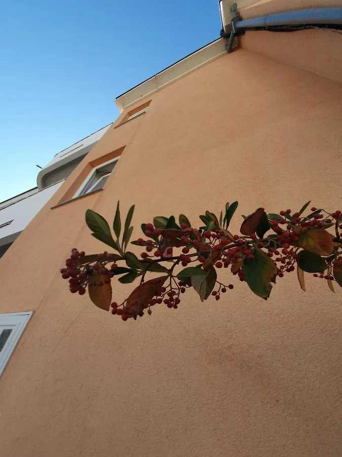 Villa Julian Zadar Guest house